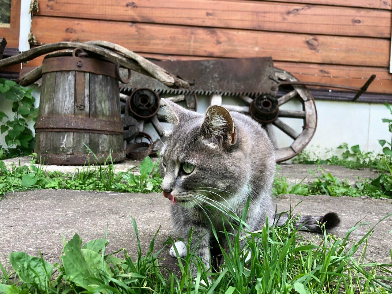 Гостевой дом Усадьба Сурикова Суздаль-16