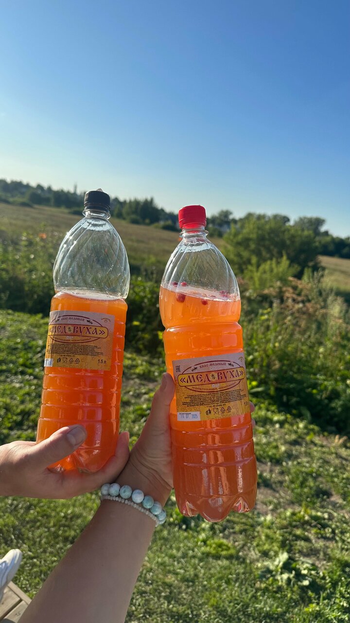 Гостевой дом Усадьба Сурикова Суздаль-66