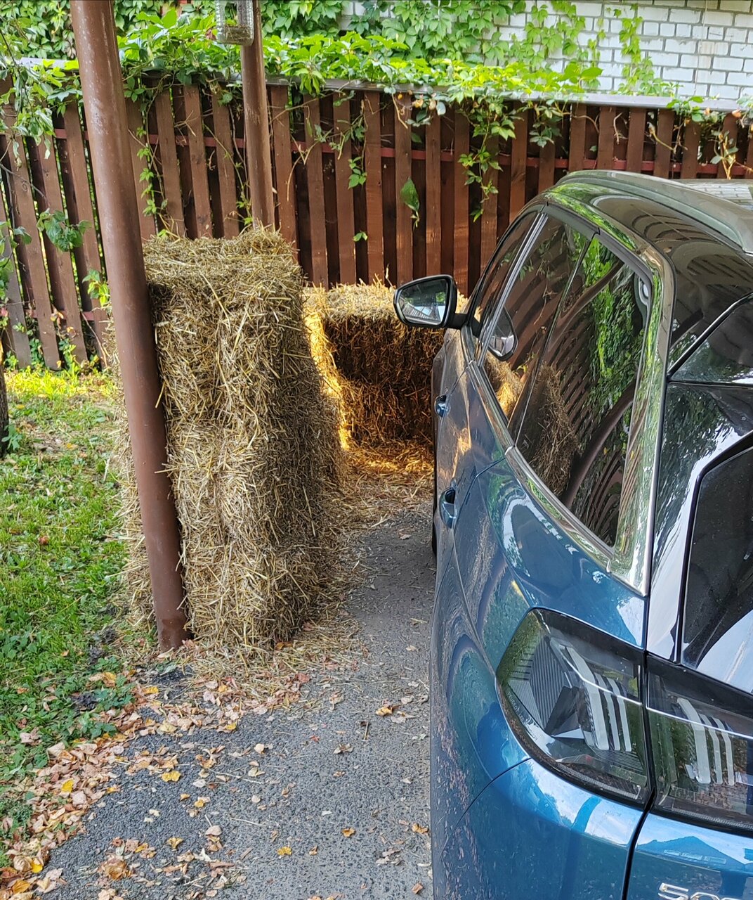 Гостевой дом Усадьба Сурикова Суздаль-34