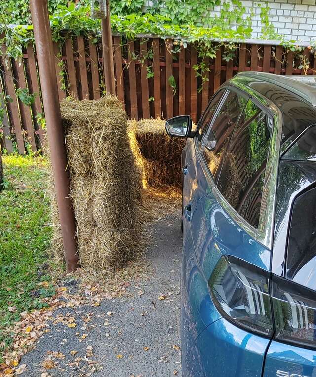 Гостевой дом Усадьба Сурикова Суздаль-33